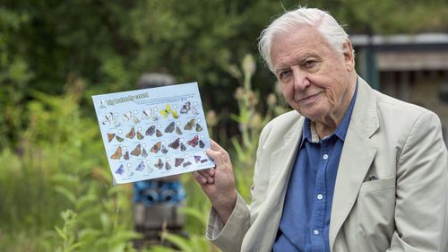 Sir David Attenborough has championed the cause of the natural environment for his entire life.