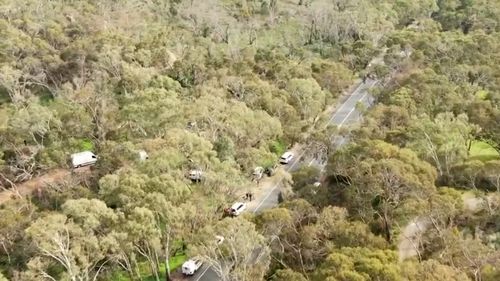 The discovery left locals who visited the park on Wednesday in shock.