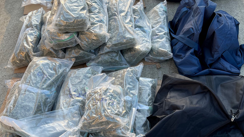 Police allegedly located and seized 45kg of cannabis which was concealed within duffle bags.