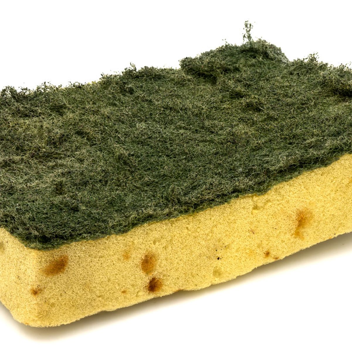 How Dirty Are Kitchen Sponges?