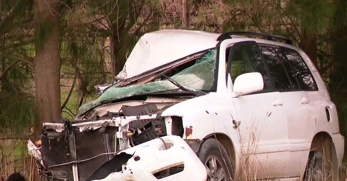 Riddoch Highway crash: Eight-year-old 'miraculously' uninjured, two ...