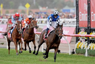 <b>Protectionist has won the Melbourne Cup, completing an international clean sweep of Australia's richest spring races.</b><br/><br/>In beating a brave Red Cadeaux and Who Shot Thebarman, Protectionist delivered Germany's first Melbourne Cup win. <br/><br/>However, the race had a tragic end with favourite, Japanese stayer Admire Rakti, dying and another horse, Araldo, fighting for its life.<br/><br/>The sad news tarnished a Cup day that had started in typically glamorous fashion, with some of the country's biggest stars stealing the limelight. <br/><br/>