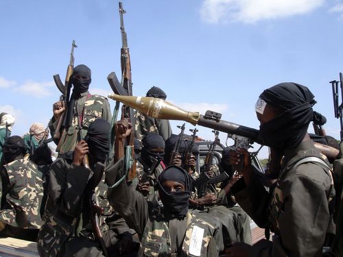 The airstrikes targeted members of the al-Shabab extremist group in Somalia.