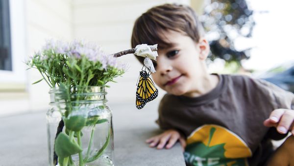 The holidays are coming to a close but there's lots you can do. Image: Getty.