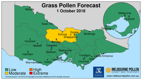 Today's pollen forecast is low for Melbourne.