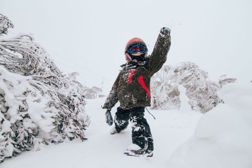 Strong wind gusts in alpine areas of NSW is expected to develop into blizzard-like conditions amid snowfall. Picture: AAP.