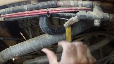 

<p>A snake-catcher on the Sunshine Coast has proved his job isn’t for the faint of heart by pulling a long red-bellied black snake from inside a bulldozer.</p>
<p>Professional Sunshine Coast snake catcher Mark Neath posted the video to his YouTube account last week showing the determined reptile’s attempts to avoid extraction from inside the mammoth machine. </p>
<p>Mr Neath told ninemsn the extraction took more than 40 minutes to complete despite knowing the whereabouts of the snake.</p>
<p>“We knew exactly where the snake was and normally a red belly snake – unless it has been agitated – will sit and stay in the spot,” he said.</p>
<p>“It doesn’t look like I spent a lot of time. I ducked my head under there and I spent 10 to 15 mins looking before I put the hook in to pull his tail out.”</p>
<p>Mr Neath became a snake hander five years ago leaving his 20 year career as a computer programmer. He now runs his own business as a snake catcher and relocator.</p>
<p>“A scary and gratifying job but not one for the faint of heart,” he said.</p>
<p>Based in Buderim Mr Neath is speaking from bitter experience having spent time in a Gold Coast emergency department after being bitten by a marsh snake.</p>
<p>Click through to see the most heart warming and disturbing animal rescues ever filmed.</p>
<p> </p>
<p>
</p>
<p>
</p>
<p>
</p>
<p>“/></p></div>
<div class=