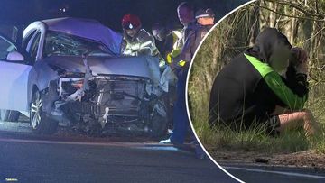 Teen killed after allegedly drunk L-plater crashes into tree