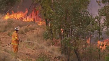 Families have been forced to flee their homes in the Darling Downs area of Queensland as a fast-moving bushfire races towards properties.