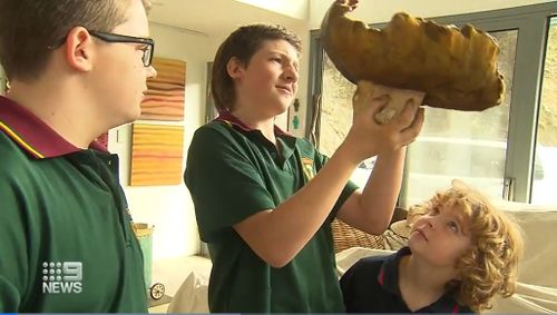 Jasper Les made the rare discovery of a porcini mushroom tipping the scales at a whopping 2.65 kilograms, weighing more than a brick.