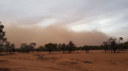 Rural NSW has also been swamped by the wall.