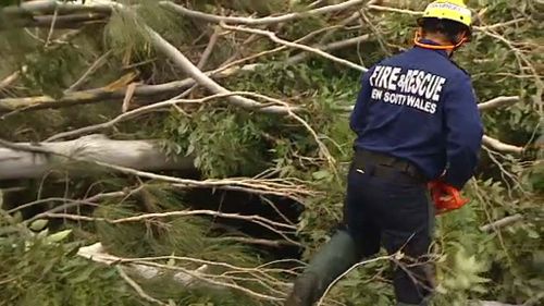 Emergency crews have responded to more than 40 call outs, including reports of trees on powerlines and even traintracks. (9NEWS)