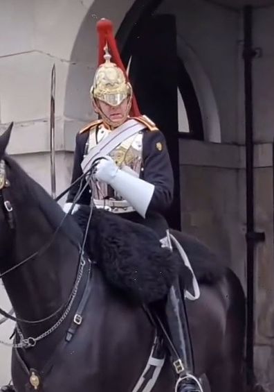 tourist yelled at by member of Queen's guard for touching horse reigns