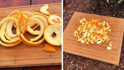 Using orange peel to deter pests – an organic way to regain control over  your garden, Lifestyle