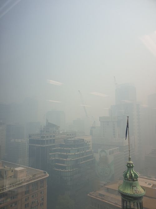 This is what the people in Martin Place can see right now - Not much at all.