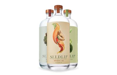 Seedlip Non-Alcoholic Spirits, $49.95