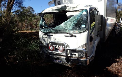 Man dies after kangaroo smashes into truck windscreen