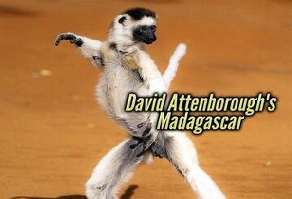 David Attenborough's Madagascar