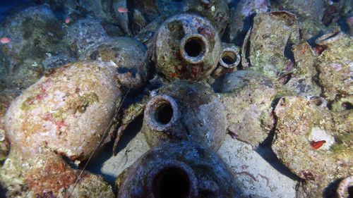 The amphorae are in excellent condition.