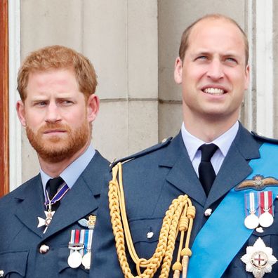 Harry and William olive branch