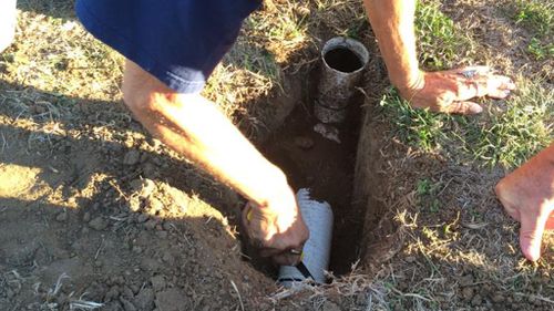 The kitten was found after the parents heard meowing coming from a drain pipe buried in their backyard. (Reddit)