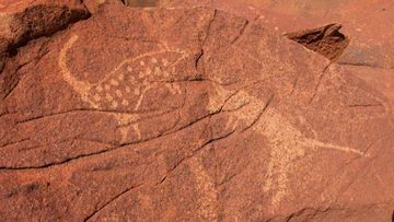 There are more than a million examples of this rock art in Murujuga.