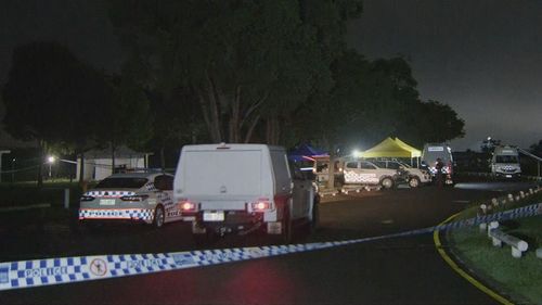Homicide detectives are investigating after a man was fatally stabbed at a park in Brisbane's south.