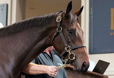 Which mare's foal sold for a record $10 million at auction at the 2024 Easter Yearling Sale?