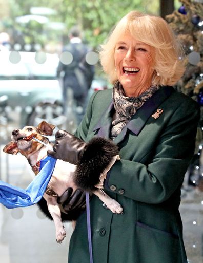 Camilla, Duchess of Cornwall with Beth, her jack-russell terrier, unveiling a plaque as they visit the Battersea Dogs and Cats Home to open the new kennels and thank the centre's staff and supporters on December 9, 2020 in Windsor, United Kingdom