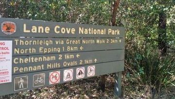 The teenage girl was allegedly assaulted while orienteering in the Lane Cove National Park at Thornleigh.