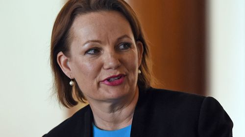 Sussan Ley spent $12,000 on a private jet
