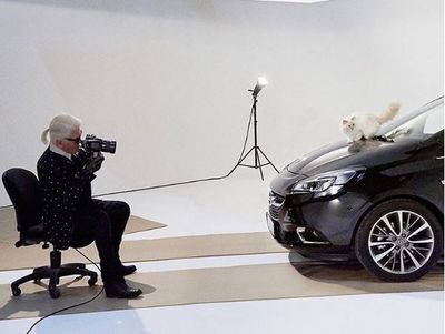 Choupette being photographed by her owner Karl Lagerfeld