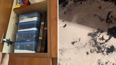 Woman uses powdered sugar instead of flour