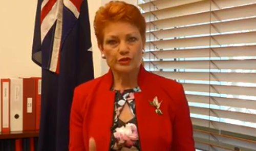 Pauline Hanson issued a video statement yesterday saying she would give the girl a "good kick" for her protest. 