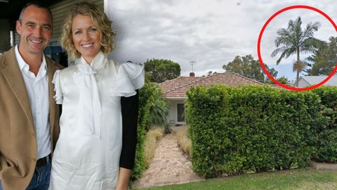 Lachlan and Karina Daddo were taken to court by a neighbour over palm trees on their property that the neighbour claimed obstructed their views.