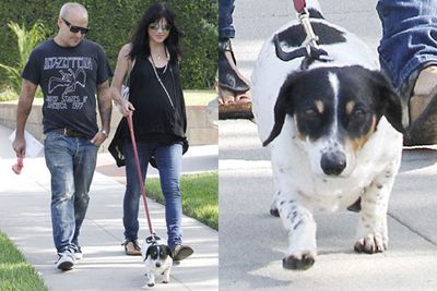 It seems that Selma Blair and partner Jason Bleick share a fondness for walking their mini pooch, Wink.