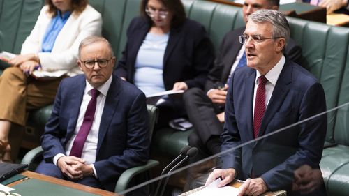 Attorney-General Mark Dreyfus in parliament.