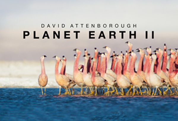 Planet Earth II