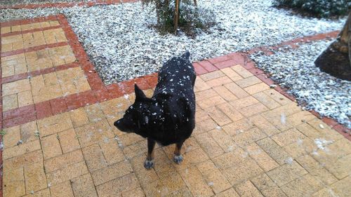 Snow falls in Ballarat. (Twitter, @roadagain65)