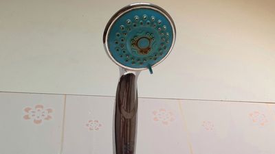 Shower head grime hack