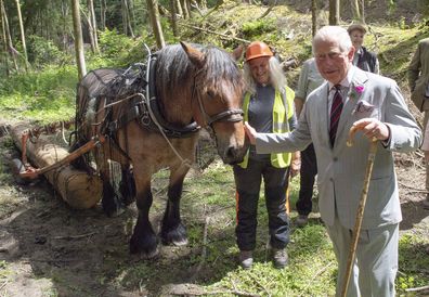 Prince Charles and Camilla visit Wales 50 years after Prince of Wales title