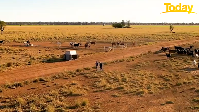 Darrell's ordeal has not tempered his love of the land.