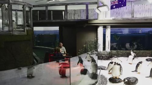 Visitors will be taken on a journey in a raft and learn about the issues penguins face. (Supplied)