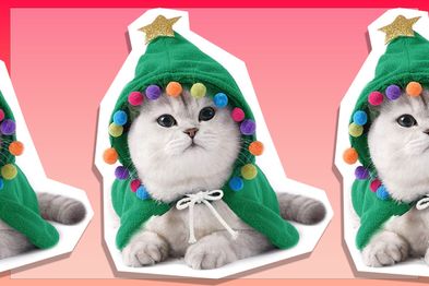 9PR: ANIAC Pet Christmas Cloak Costume