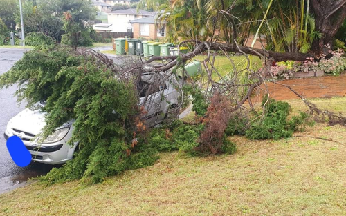 Around 200mm of rainfall drenched the NSW coast last night