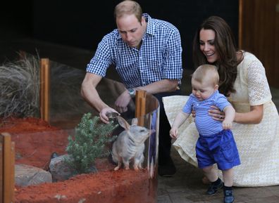 Prince William, Duke of Cambridge and Catherine, Duchess of Cambridge introduce their son Prince George to a bilgy named George after Prince George, at Taronga Zoo's Bilby Enclosure,in Sydney during their Royal Tour of Australia. 20th April, 2014.