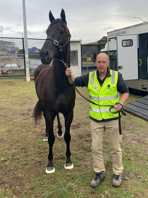 Cameron Croucher's unique job means he has faced repeat stints in quarantine every time he flies out of Australia to make sure thoroughbreds worth many millions of dollars make it to the destination safely.