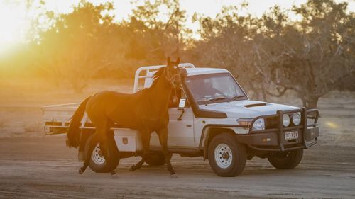 The Birdsville Cup is celebrating its 135th anniversary. (Salty Dingo)