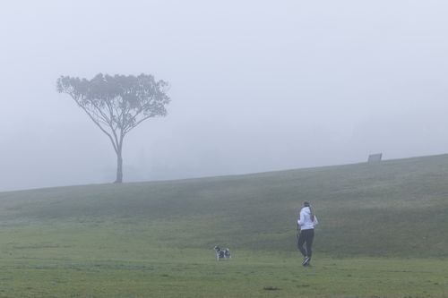 Sydney fog generic June 2021