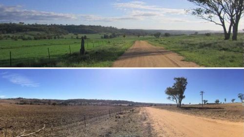 Drought Australia NSW assistance money fodder handouts Coonabarabran